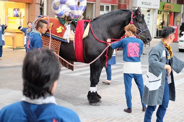 馬　飾り 株式会社 山本人形 松屋町本店-飾り馬